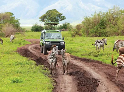 Exclusive Deal- Zanzi Resort Tanzania 5 Star