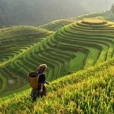 Vietnam