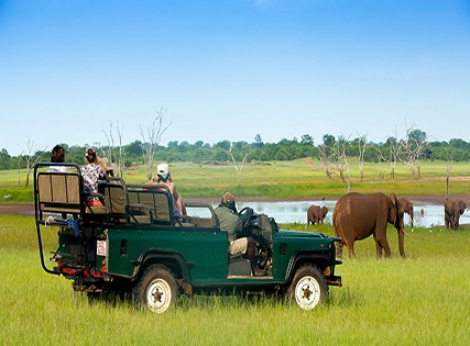 Exclusive Deal with Special Discount- Cinnamon Wild Yala, Yala National Parksafari- Breakfast – 5 Star