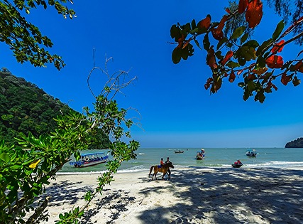 Exclusive Deal- Angsana Teluk Bahang Penang 5 Star  Image