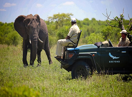 Exclusive Deal with Special Discount- Crocodile Bridge Safari Lodge, Kruger National Park- Breakfast – 3 Star