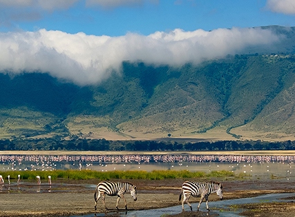 Best Deal- Hyatt Regency Dar-Es-Salam, The Kilimanjaro with Breakfast – 5 star