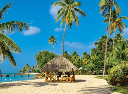 Exclusive Deal with Special Discount- Blue Waters Inn, Tobago- Breakfast – 4 Star