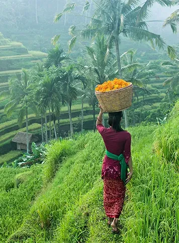 Bali